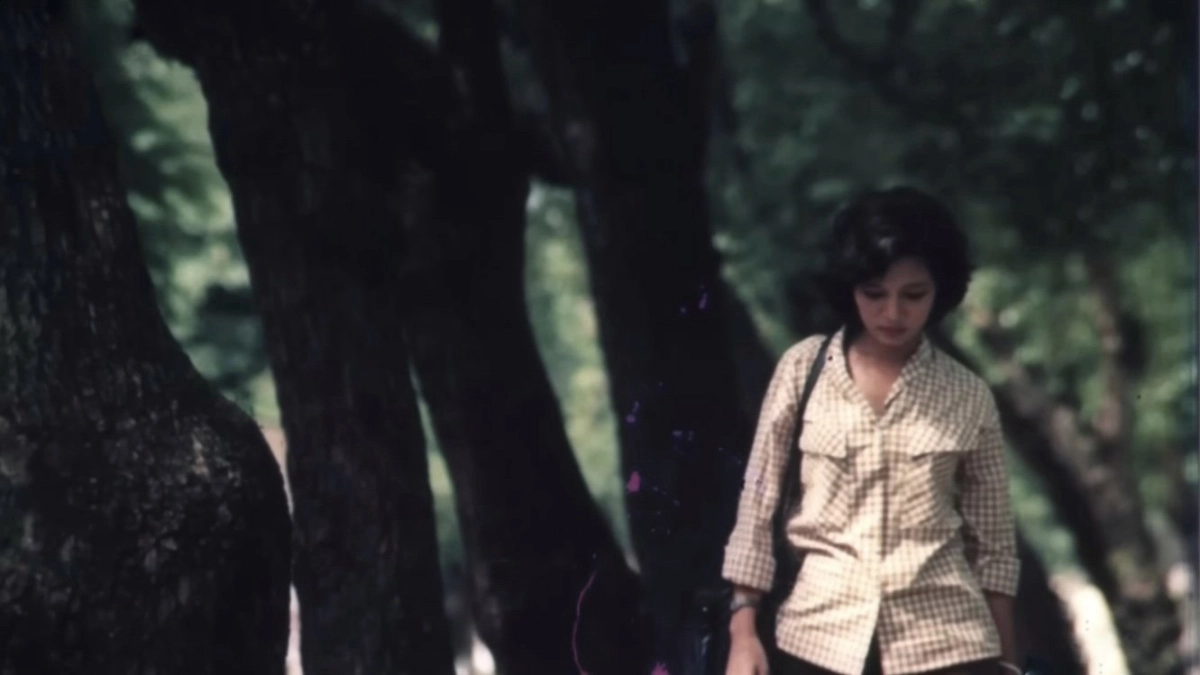 Cô gái trên sông (The Girl on the River)