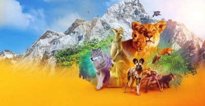 Động vật (Phần 1) (Animal (Season 1))